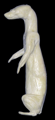 CM17S Marten - Peter Knapton