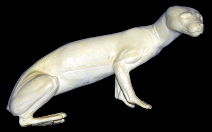 CM19 Marten - Peter Knapton