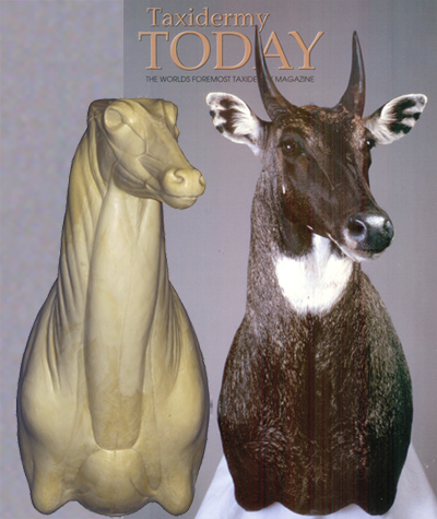 CNIL02 Nilgai or Blue Bull