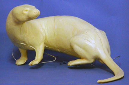 COT1 Otter - Peter Knapton