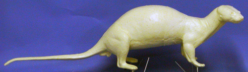 COT25 Otter - Peter Knapton