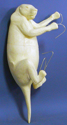 CPQ1 Porcupine - Peter Knapton