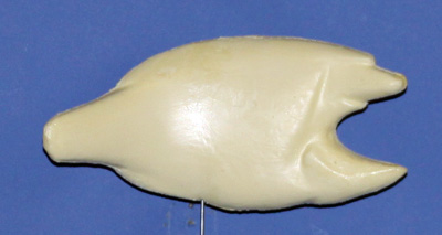 CR22 Crappie
