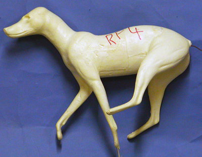 CRF4 Red Fox - Peter Knapton