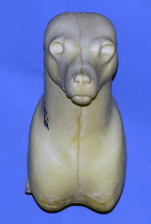 CRFS11 Red Fox - Shoulder