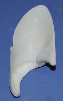 CST101 Bobcat Medium Ear Liners
