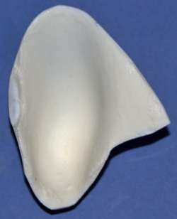 CST103 Fisher Ear Liners
