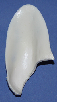 CST105 Raccoon Ear Liners