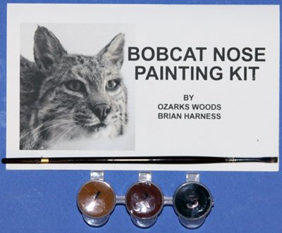 CST95 Bobcat Nose Paint Kit