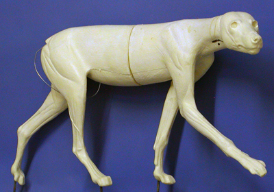 CTW343 Timber Wolf - Peter Knapton