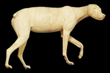 CTW353 Timber Wolf - Peter Knapton