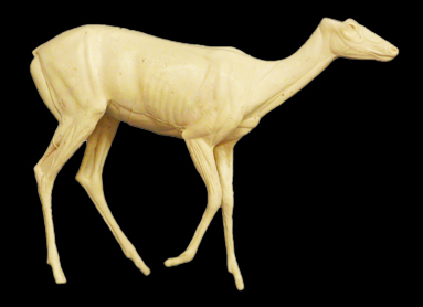 CVH450 Whitetail Deer Walking