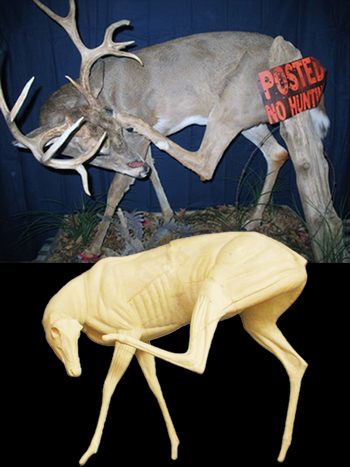 CVH451 Whitetail Deer - Vic Heincker
