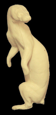 CW002 Weasel - Peter Knapton