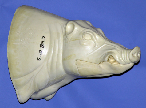 CWB01S CM Wild Boar - Closed Mouth