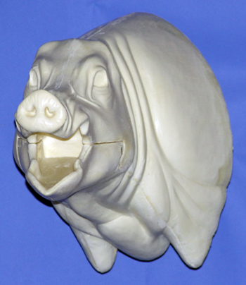 CWB02L Wild Boar - Open Mouth