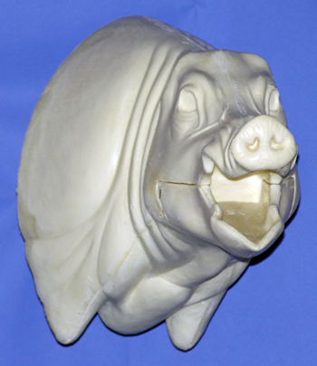 CWB02R Wild Boar - Open Mouth