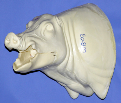 CWB03L Wild Boar - Open Mouth