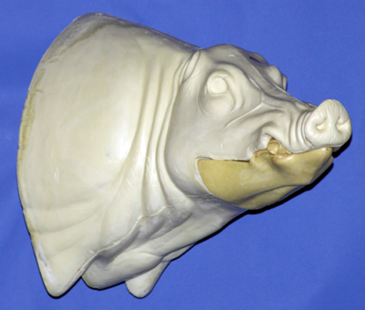 CWB03R CM Wild Boar - Closed Mouth