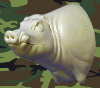 CWB04L CM Wild Boar - Closed Mouth