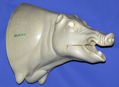 CWB04S Wild Boar - Open Mouth