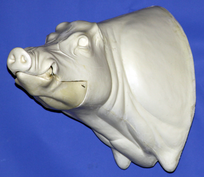 CWB06L CM Wild Boar - Closed Mouth