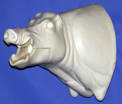CWB06L Wild Boar - Open Mouth