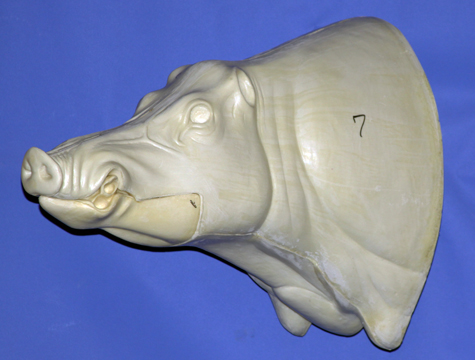 CWB07S CM Wild Boar - Closed Mouth