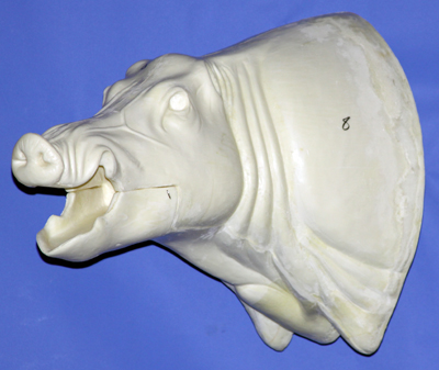CWB08L Wild Boar - Open Mouth