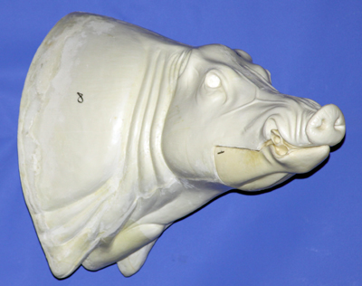 CWB08R CM Wild Boar - Closed Mouth