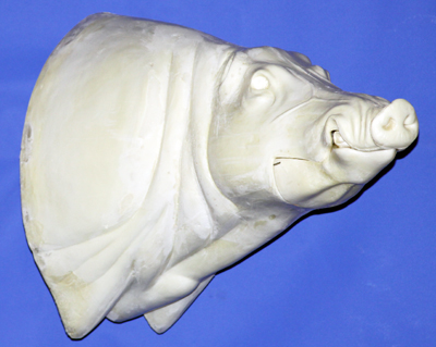 CWB10R CM Wild Boar - Closed Mouth