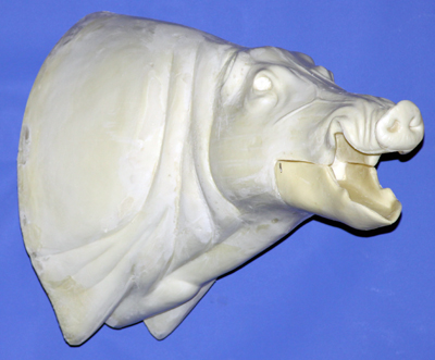 CWB10R Wild Boar - Open Mouth