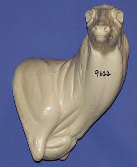 CWP9622 Wall Pedestal