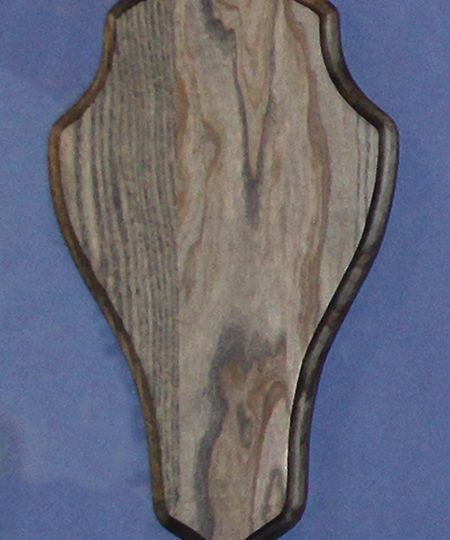 EA814 Ebony Ash Euro Skull Panel