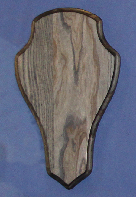 EA814 Ebony Ash Euro Skull Panel