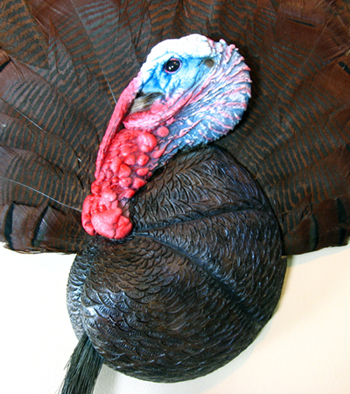 EBP1 Strutting Head & Breast Plate