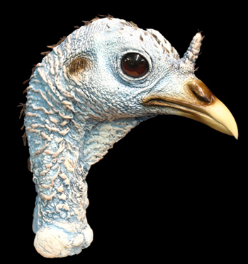 EHS1 Hen Standing Medium