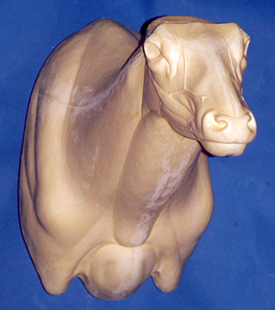ELK100 Classics Elk Semi Sneak