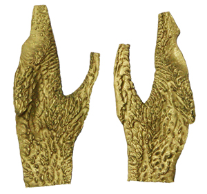 EPAP1 Elk Papilae