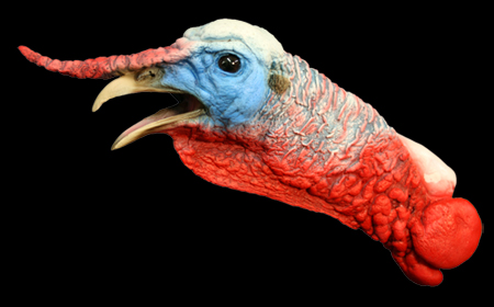 ETG3 Gobbling Large - Painted
