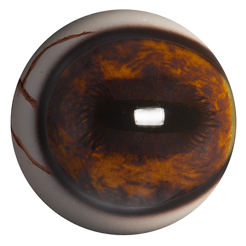 PRE34V Elk Prerotated with Veins 34 MM