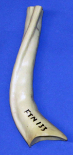 CFTN133 Neck