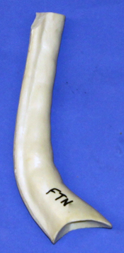 CFTN134 Neck