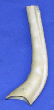 CFTN136 Neck