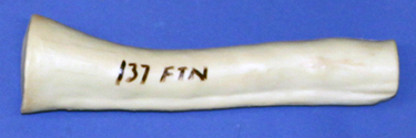 CFTN137 Neck