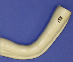 CFTN138 Neck
