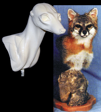 GFP77 Gray Fox Pedestal - Form Only