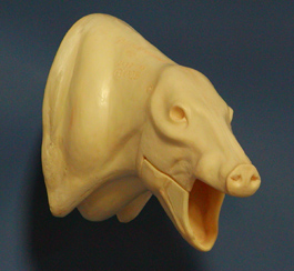 JA02 Javelina Shoulder - Right Turn