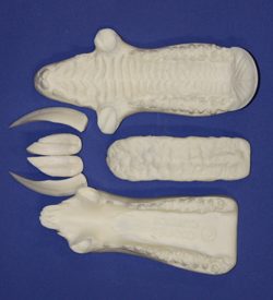 JSWB1-1 Unpainted - Tusk Length 1 3/4"