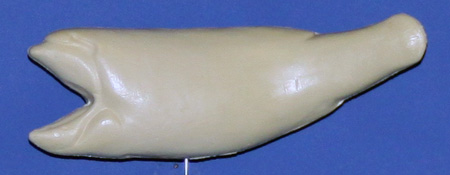 L302 Largemouth Bass (Body Action)